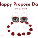 happy-propose-day-wine-rose-pattle